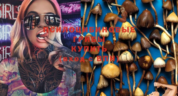 PSILOCYBIN Балахна